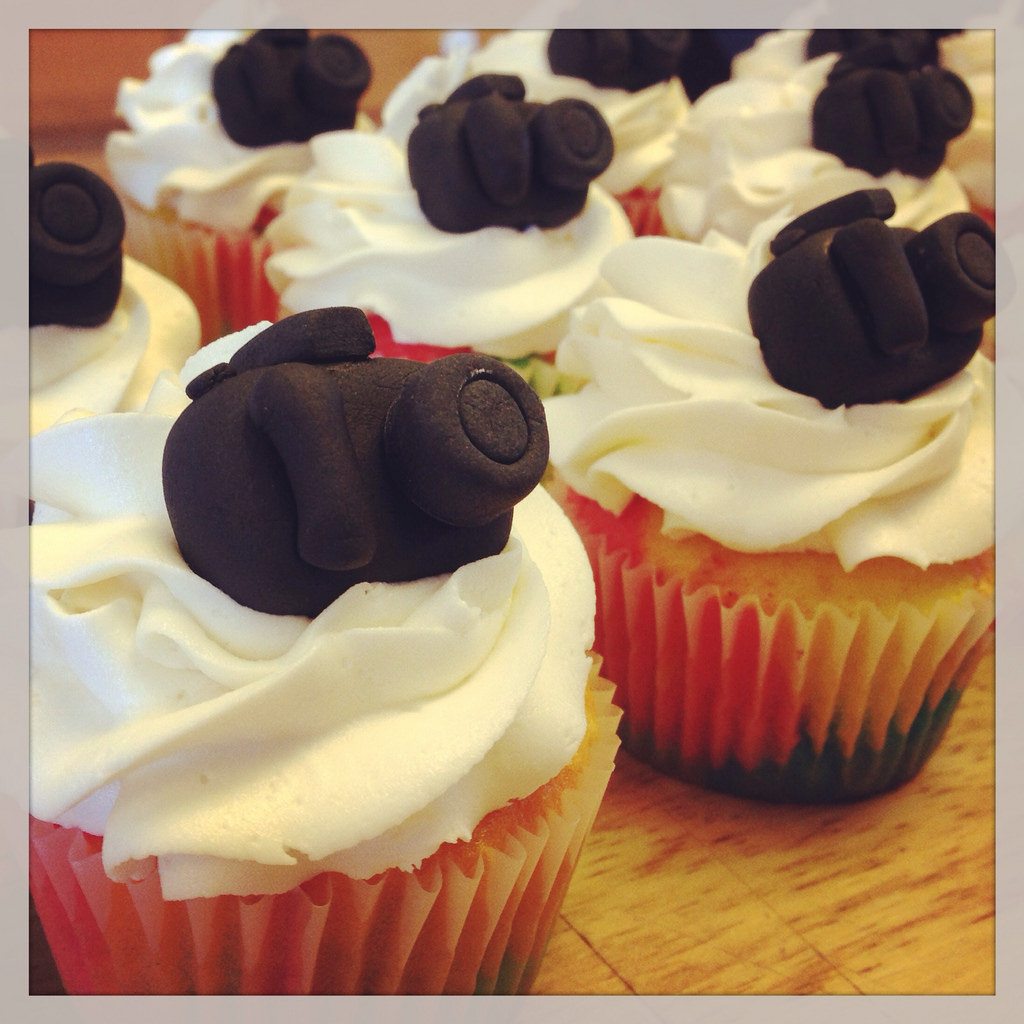 camera cupcakes